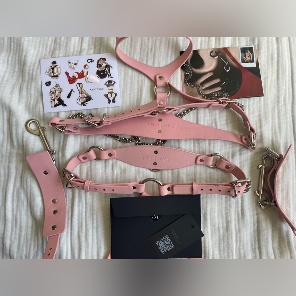 Anoeses Leather Pink Terra bondage Lingerie Set - Picture 16 of 17